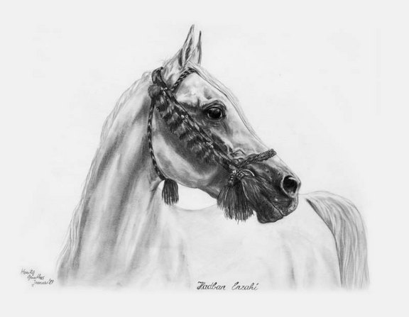 Hadban Enzahi