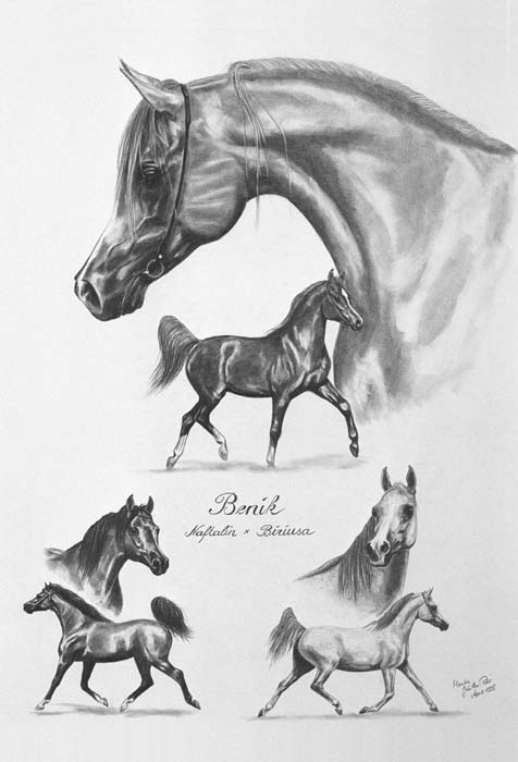 Benik