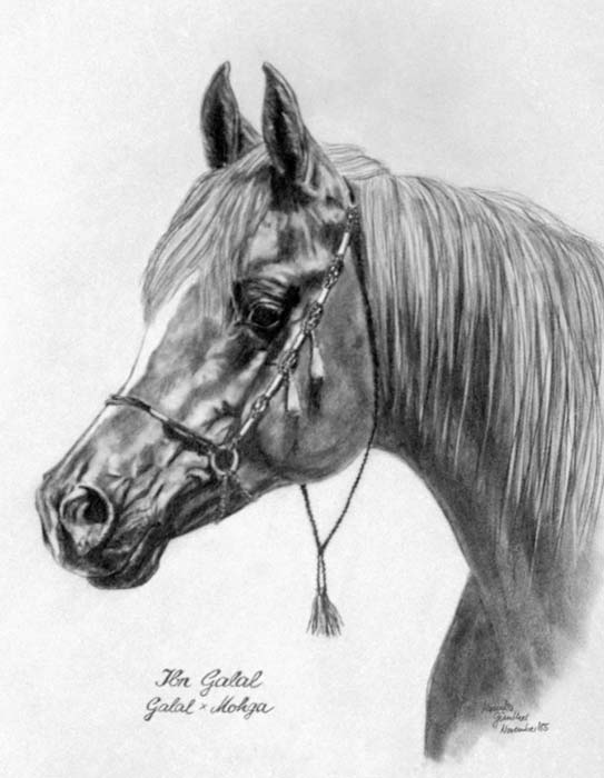 Ibn Galal